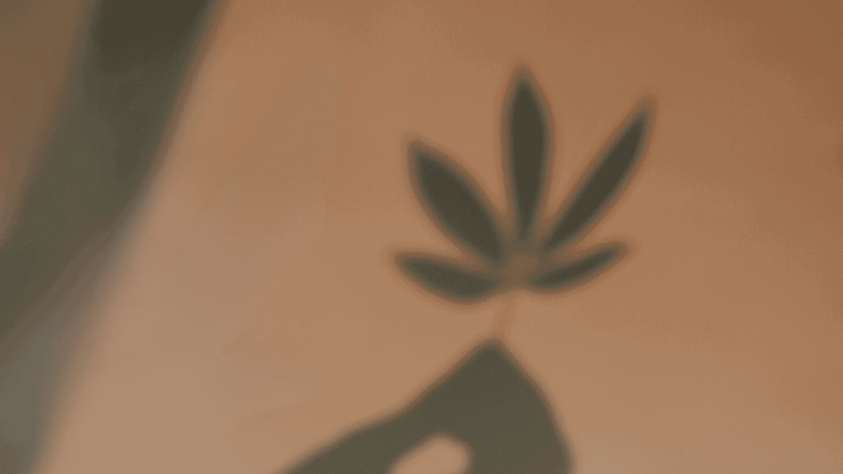 Cover image for Cannabis and Fertility