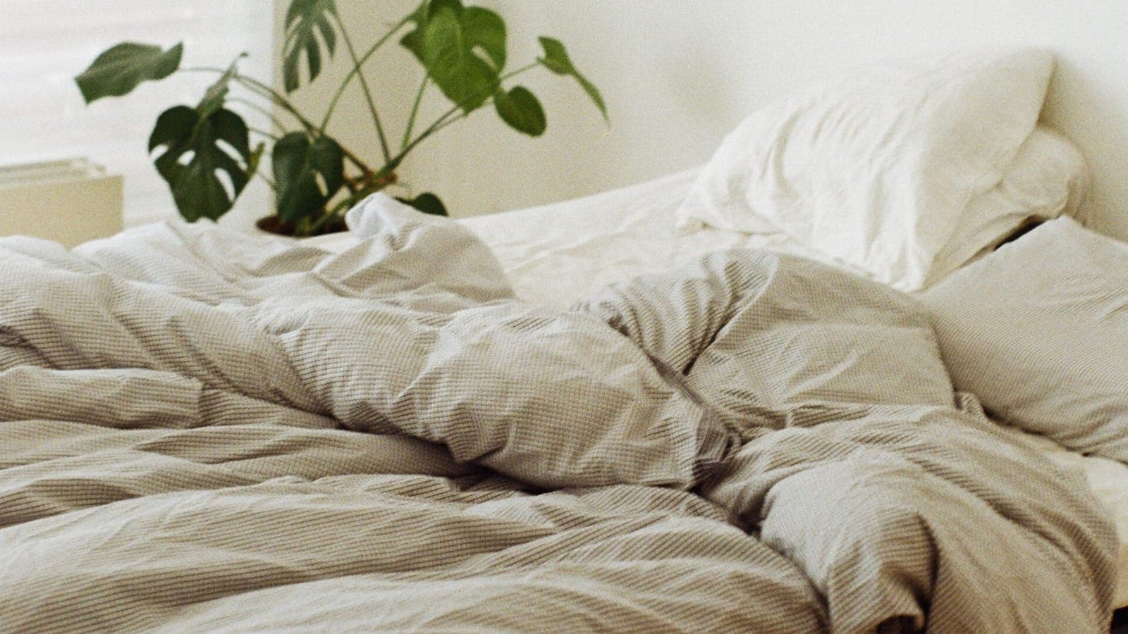 Cover image for Let’s talk about sex