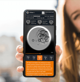 Watch your embryos develop