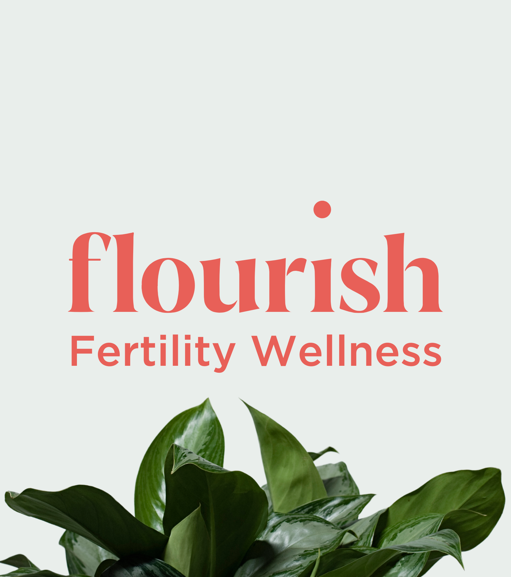 Fertility Wellness (3)